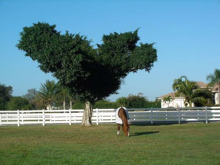 Yet another home he owns is in the Mallet Hill neighborhood of Wellington, Florida, an equestrian hot spot. Georgina has been using it full-time to train after selling her own property in the area.