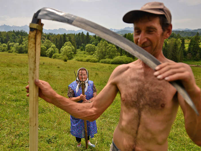 Highlanders: "Traditional haymaking in Poland. Many people continue to use the scythe and pitchfork to sort the hay."