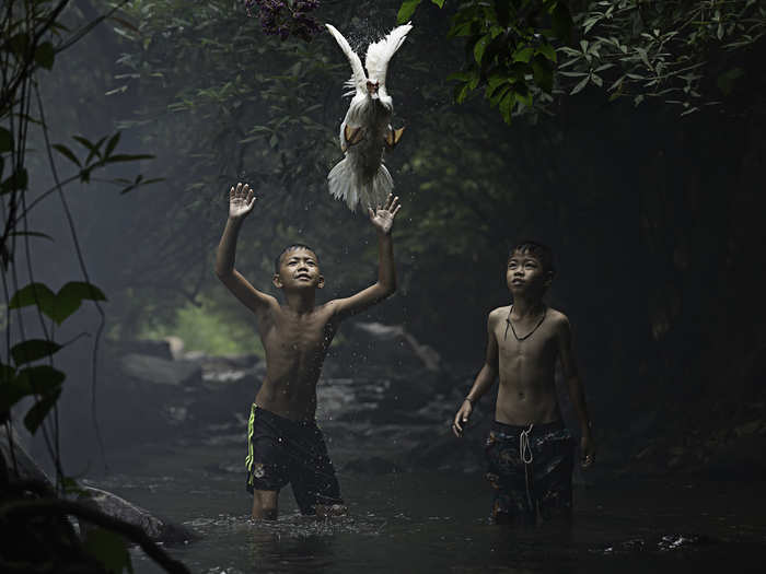 Catching a Duck: "Two boys are trying to catch a duck at the stream of the waterfall. Nong Khai Province, Thailand."