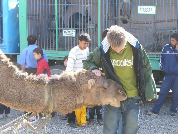 He made friends with a few animals while in Uzbekistan.