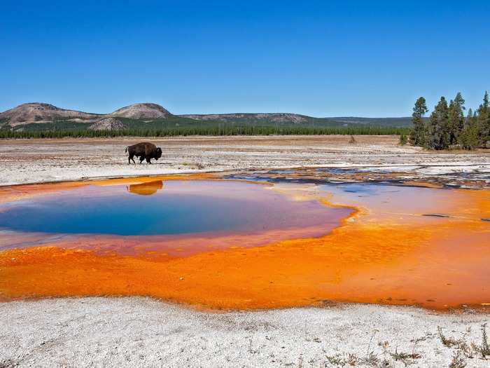 OLDEST NATIONAL PARK: America’s Yellowstone National Park was the first place to be given the title of a national park back in 1872 by President Ulysses S Grant. Today, the park is home to stunning sites like the multi-colored Grand Prismatic Spring.