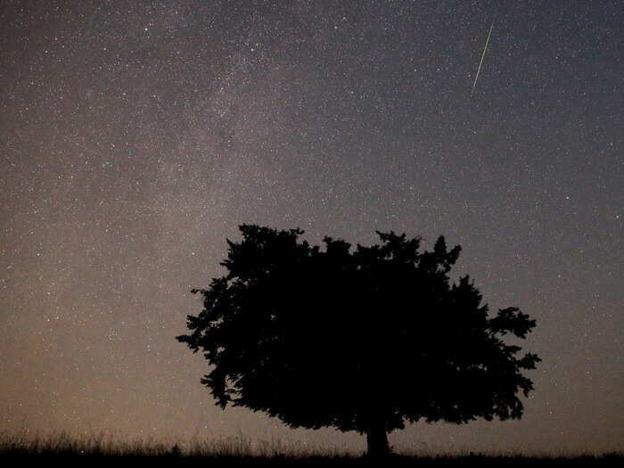 This year, the meteor show coincided with a new moon, creating ideal dark sky conditions to spot meteors.