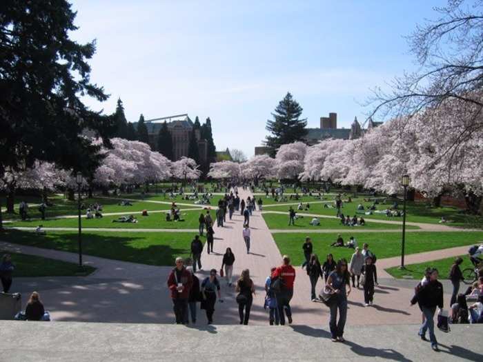 10. University of Washington