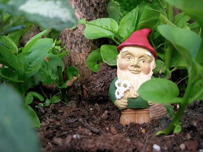 "What do you think of garden gnomes?" — Trader Joe