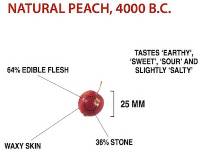 Natural peach