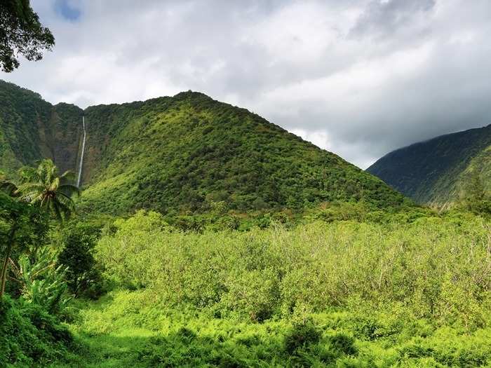 Stunning Waterfalls on the Hamukua Coast