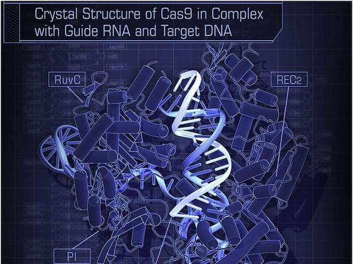 Editas Medicine is a completely new technology that edits genes to cure diseases.