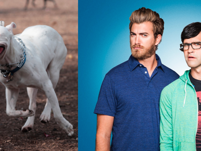 YouTube pair Rhett and Link also want to bring a dog into the White House with them.