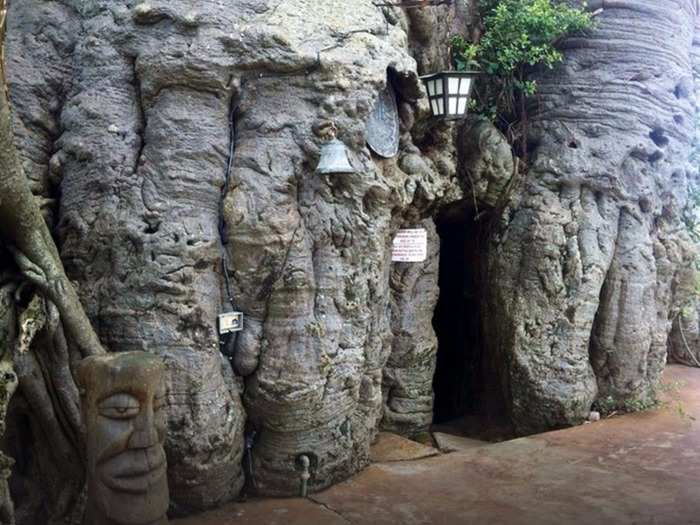 For one of the most natural drinking experiences, head to the Baobab Tree Bar in Limpopo, South Africa, where the bar is housed in a 72-foot high tree. The tree has its own cellar that keeps the beer inside cool for visitors to enjoy.