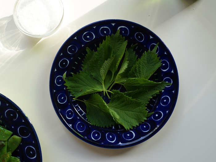 ...incredibly fresh and zingy shiso leaves...