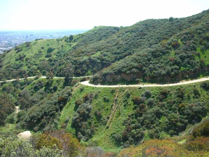 Hike in Runyon Canyon Park—one of the best hikes in Los Angeles—where you’ll get breathtaking views over Hollywood.