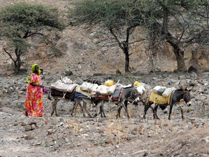 3. Djibouti