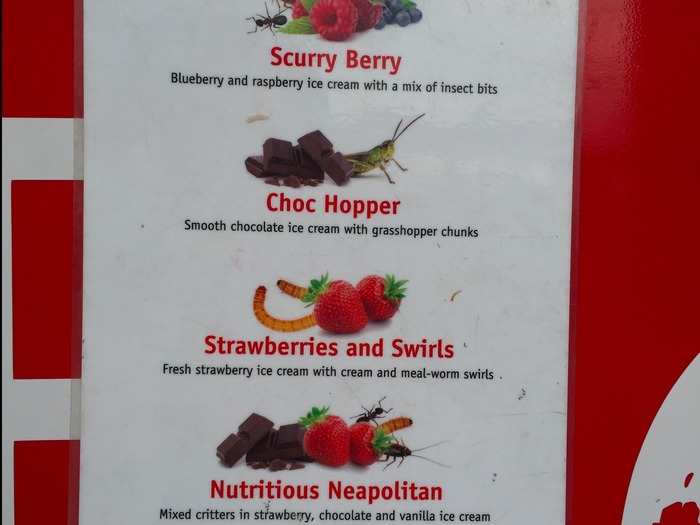 This was the menu. They actually only had two choices available – scurry berry and nutritious Neapolitan – and were out of the chocolate and strawberry flavours.