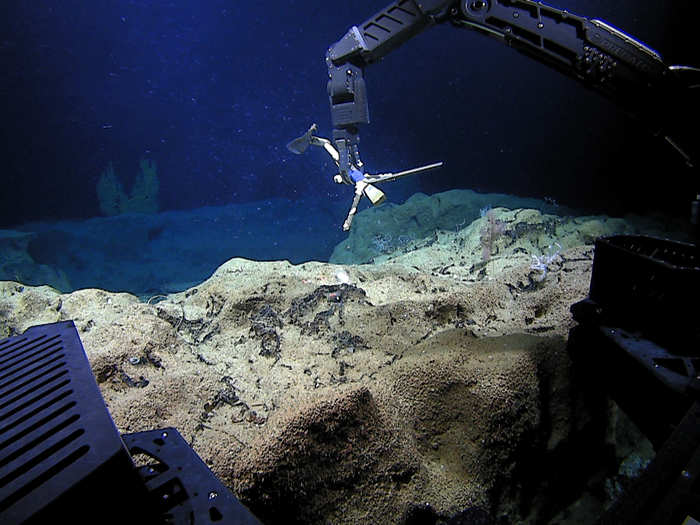 The Okeanos team has just set out to sea again on September 14, first stopping off the coast of Hawaii to pick up two probes that have been monitoring the water for the last couple years.