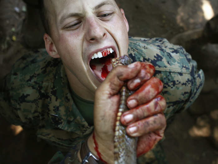 Thai navy sailors are trained to survive in the tropical jungle. In a joint military exercise in 2013, they taught US Marines to drink cobra blood.