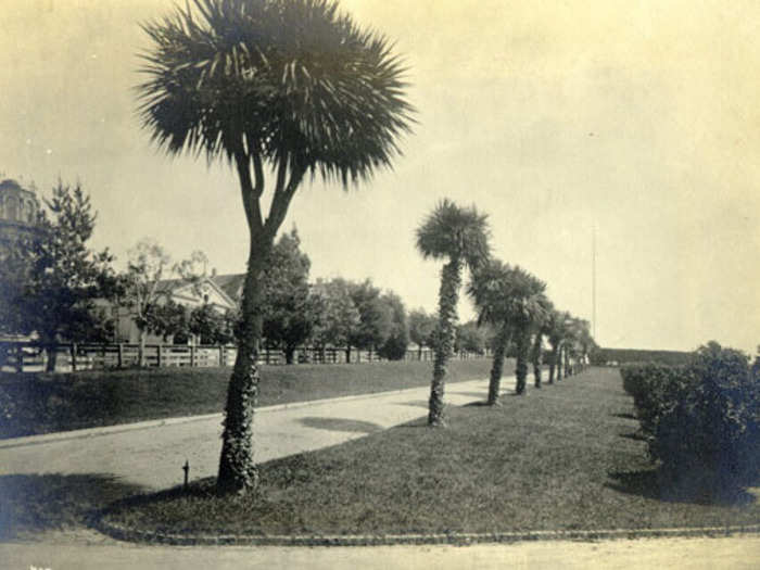 Palm Avenue in Jefferson Square, 1881