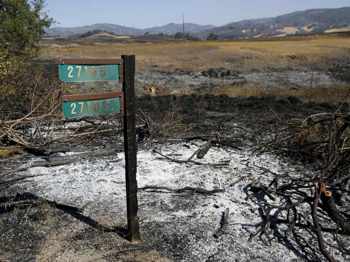 The fire destroyed the nearby homes, but the address sign remained standing. You can still make out their flame-stained numbers.