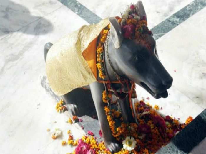 Dog temple, Karnataka