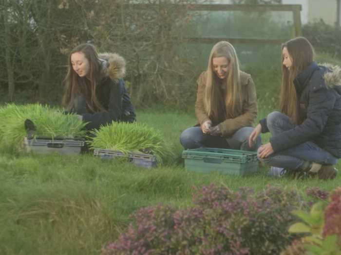 Last year, three teens from Ireland won the grand prize by coming up with a bacteria-based plan to solve the food crisis.