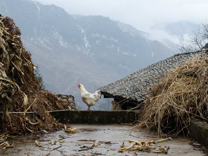 He spent Christmas Eve in a local villager