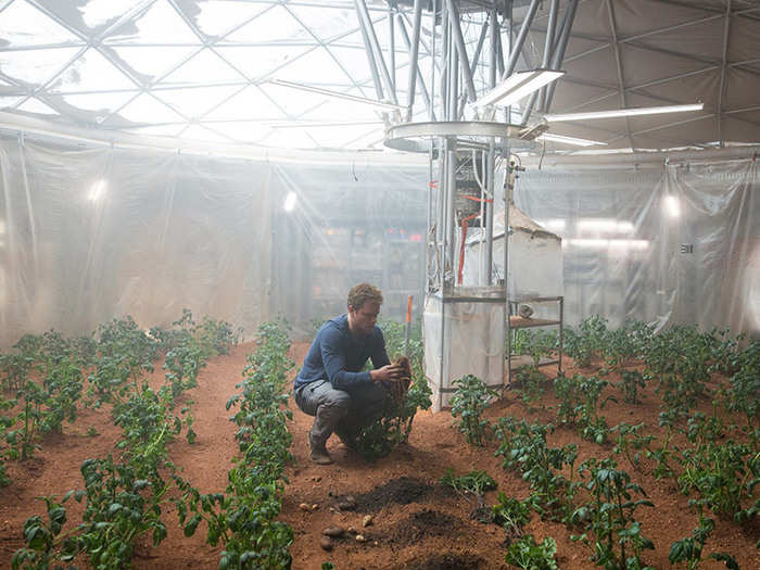 SCIENCE FICTION: With only limited food, Mark Watney in "The Martian" grows potatoes to save himself from starving. The first plants to ever grow on Mars!