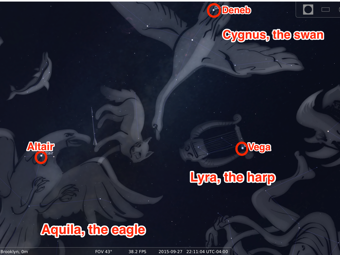 The three stars in the "Summer Triangle" are each part of their own constellation, and are, in fact, the brightest stars in their respective constellations. Vega is in the constellation Lyra. Deneb is in the constellation Cygnus. And Altair is in the constellation Aquila. Check them out below: