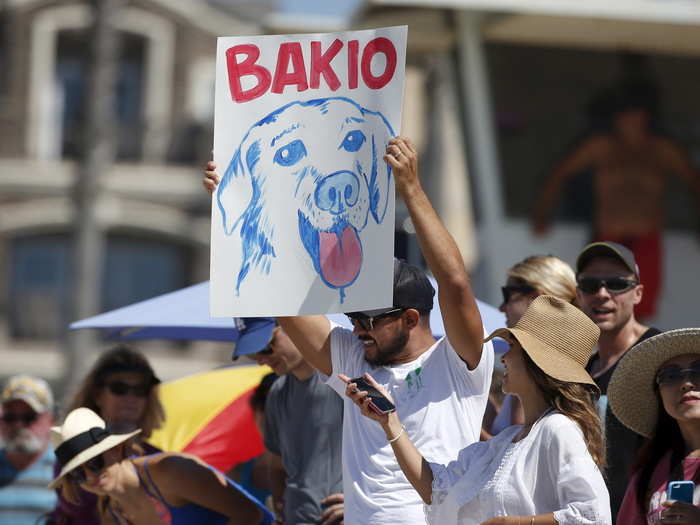 Of course, no dog can surf at its best without moral support from the sidelines. Bakio came second in the dog / person heat.