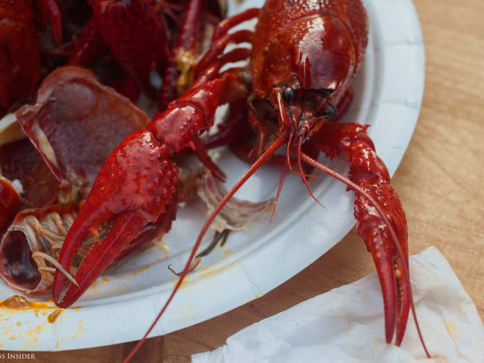 Typically, the crawfish are served cold after being boiled in salted water with fresh dill.