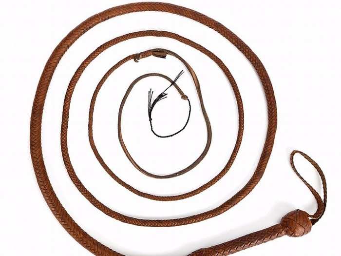 The original iconic bullwhip screen used by Harrison Ford as “Indiana Jones” in the first three installments in the blockbuster franchise is up for auction with an estimated price of $150,000 (£98,771).