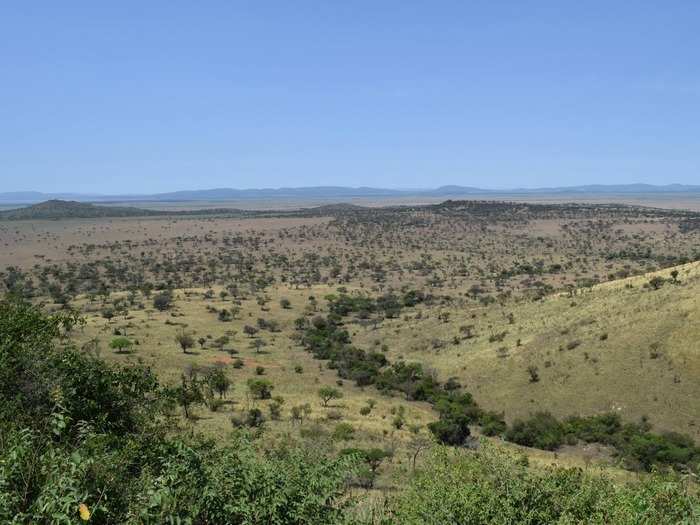 The couple spent six days on safari and six days in Zanzibar.