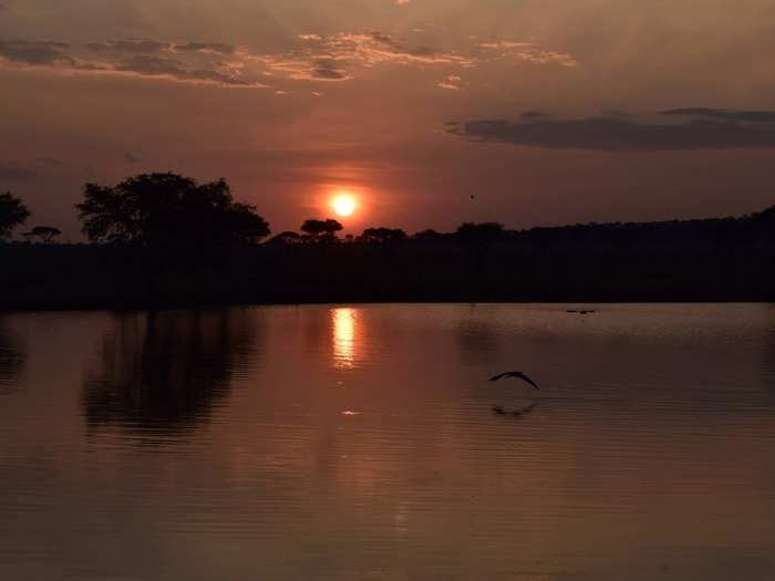 We were out on this huge hill watching the sun setting, drinking gin and tonics, and all of a sudden 200 elephants just start making their way down the hill," Morgan remembered. "It