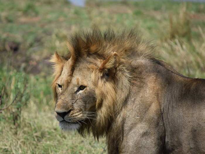 And even though the resorts sit directly on the plains, giving guests the chance to get up close and personal with animals, Morgan said that she and David never felt unsafe.