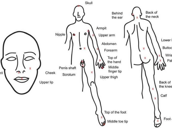 One brave scientist got honey bees to sting him repeatedly in 25 different spots on his body to see which area hurt the most.