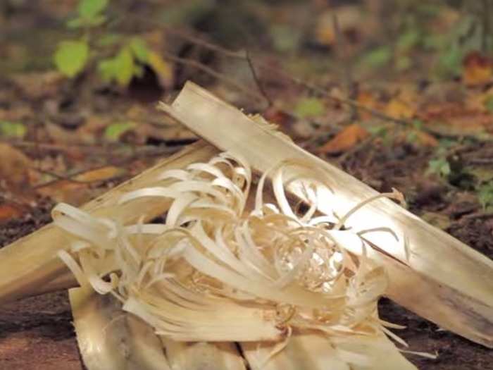 Assemble the shavings on top. Light a match directly underneath the tinder, using a piece of cotton to accelerate the process. When you see the first flame, continue hand feeding shavings in.