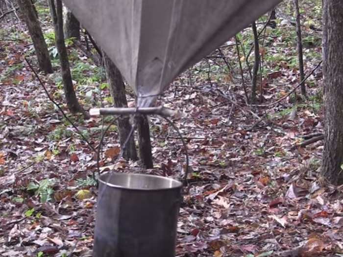 Drinking water is a necessity, and you can use rainwater to replenish your resources. Eagle Scouts collect rainwater by stretching out a shirt and using it to gather drops of rain.