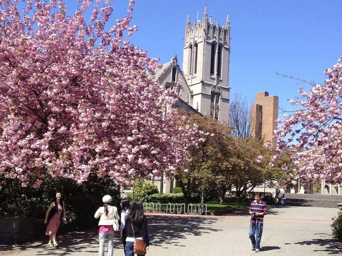 #11 — University of Washington (Seattle, Washington)