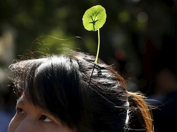 "I first saw them in Beijing at a couple of places, but by the time I left they were everywhere," she said.