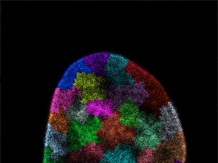 DNA packaged inside a cell nucleus