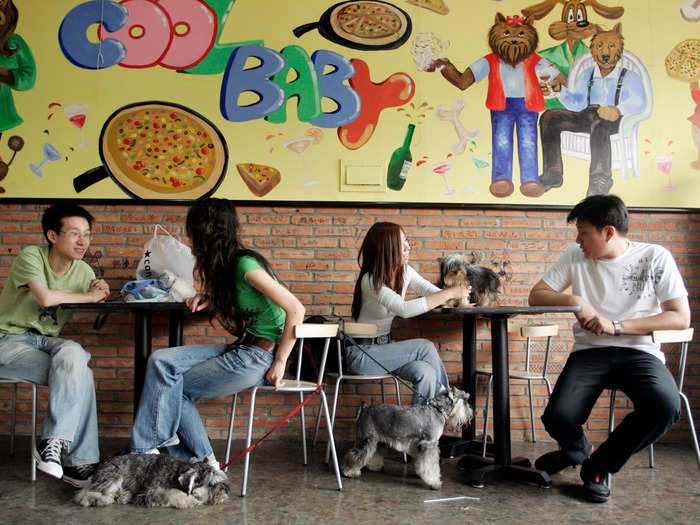 Dog owners wait for their order at the Coolbaby dog restaurant in Beijing. The dishes offered are based on nutritional science and tailor-made for dogs of different breeds, ages, and sizes. Having dogs in the home was banned under the rule of late Chinese leader Mao Zedong and was only made legal once again a few years ago.