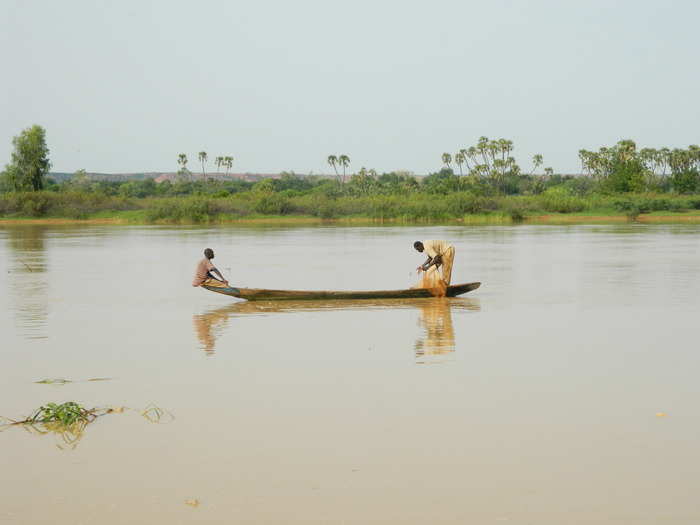 ... but the best thing to do is to go out on the river itself and look for hippos.