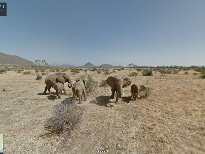 The Samburu National Reserve is in Kenya and one of 56 of the country