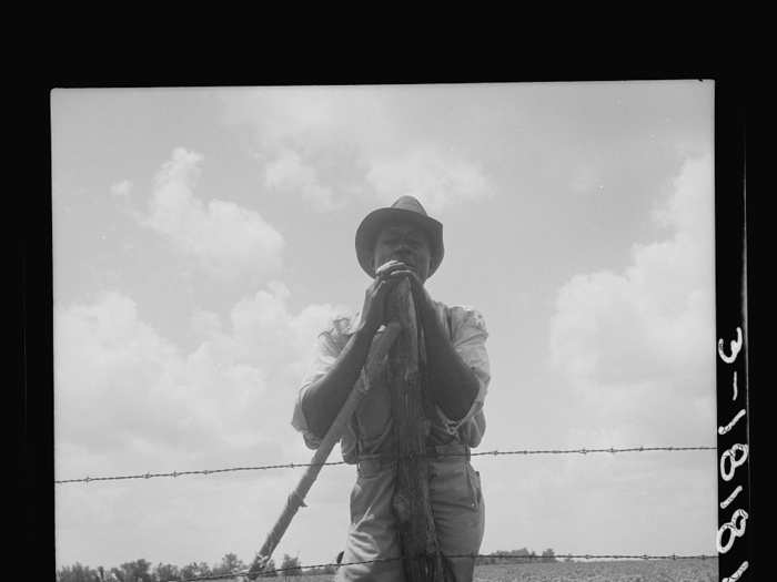 A sharecropper stands on his 20 acres of land near Bryan, Texas. He receives eight cents a day for hoeing cotton.