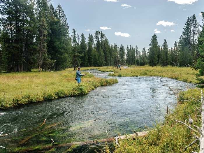 Whitman is an avid fly fisherwoman. When her oldest son was 16, he fell in love with fly fishing and got Whitman into it too. She used to buy a lot of fly-fishing equipment on eBay when she was CEO there.
