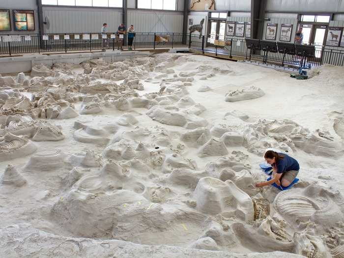 NEBRASKA: The Ashfall Fossil Beds are home to incredibly well preserved fossils of animals that roamed the Nebraska grasslands 12 million years ago when a volcano in Idaho spread a far-reaching blanket of ash. The animals died after grazing on ash-covered grass, but that same ash preserved their bodies in the exact way they died, down to the last meal in their stomachs.