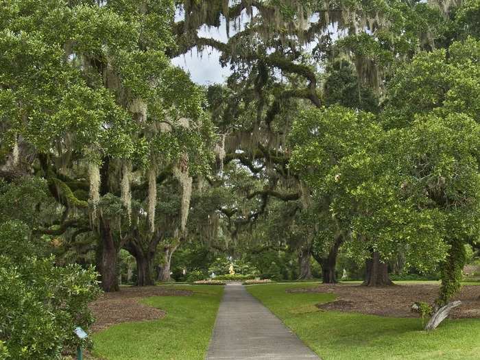 SOUTH CAROLINA: Brookgreen Gardens was named one of the top 10 public gardens in the U.S. by TripAdvisor. This incredible attraction has art exhibits, a butterfly garden, and an accredited zoo, among other things. Luckily, admission tickers are good for a week so don