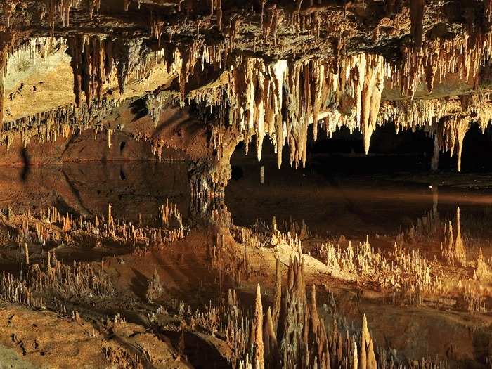 VIRGINIA: Luray Caverns make up the largest series of caverns in the eastern U.S. As well as exploring this cave of stalagmites and stalactites, you can also visit the Car and Carriage Caravan Museum, get lost in the garden maze, and fly through the Rope Adventure Park.