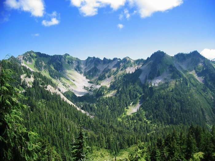 WASHINGTON: Olympic National Park sits on more than 922,000 acres and contains three major ecosystems — forest, alpine, and coastal — which means you