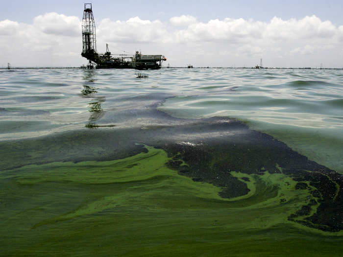 Oil floats on the water near an oil production facility at Maracaibo lake near the Venezuelan coastal town of Barranquitas on August 15, 2011. This region had suffered several leaks from old pipes and pumps.