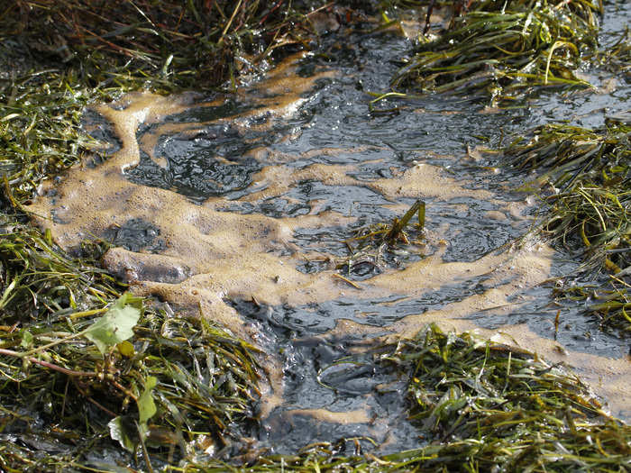 Brown sludge accumulates near the scene of a fuel spill into the St. Lawrence River from a Suncor-owned refinery in Montreal on September 29, 2010. The spill was a mixture of diesel and water.