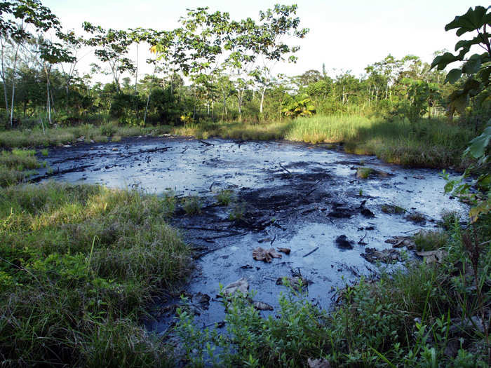 A waste pit near a jungle clearing close to the Amazonian town of Sacha in Ecuador is filled with crude oil left by drilling operations years earlier. This photo was taken on October 21, 2003.